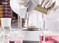 Eigenschaften von PPS (Polyphenylensulfid) Material